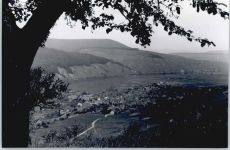 54487 W5557 Wintrich - (keine Ak-Einteilung)