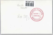 54487 W5557 Wintrich - (keine Ak-Einteilung)