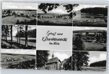 38678 W3392 Buntenbock