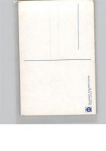 Skat Kartenspiel