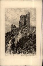 53639 W5330 Drachenfels