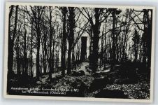 69429 W6935 Waldkatzenbach