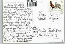 96524 O6403 Neuhaus-Schierschnitz