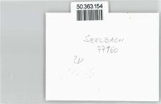 77960 W7633 Seelbach , Schutter - Foto