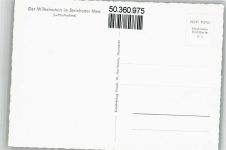25584 W2211 Steinhude - Fliegeraufnahme