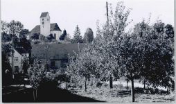 88416 W7955 Mittelbuch - Foto