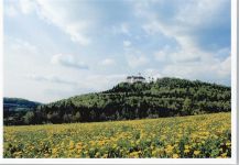 35753 W6349 Greifenstein , Hess
