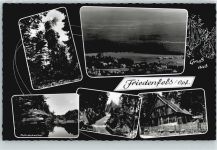 95688 W8591 Friedenfels