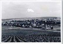 55452 W6531 Windesheim - Foto-Karte