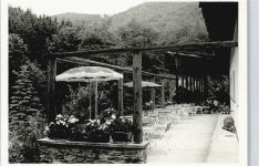 65391 W6223 Lorch , Rheingau - Foto-Karte, Gaststätte Forstgut Lauksburg