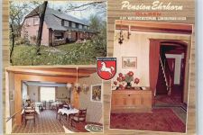 21271 W2116 Hanstedt , Nordheide - Pension Ehrhorn Treppe Baum