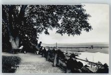 21481 W2058 Lauenburg , Elbe - Trinks AK