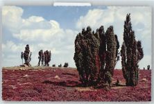 Natur