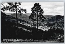 76332 W7506 Neusatz , Württ - Panorama Berg Feld Baum