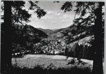 78144 W7230 Schramberg