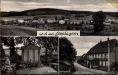 31020 W3216 Levedagsen