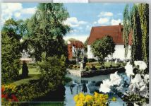 34474 W3549 Wrexen - Baum Haus Blumen