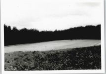 56237 W5415 Nauort - Sportplatz , Foto