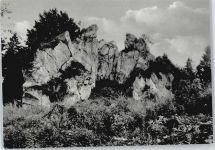 37441 W3423 Steina , Südharz - Felsen Baum Himmel