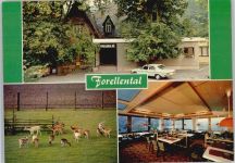 31840 W3253 Hemeringen - Hotel Restaurant Forellental