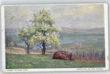 Frühling an der Donau Straka, J.