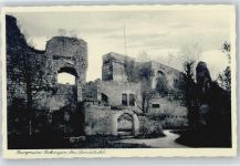 66849 W6790 Landstuhl - Burg Ruine