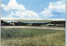 24238 W2319 Selent , Holst - Teilansicht