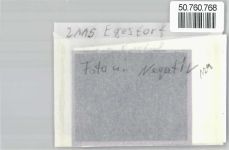 21272 W2115 Egestorf , Nordheide FOTO KEINE AK Foto mit Negativ