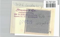31628 W3076 Landesbergen FOTO KEINE AK Foto mit Negativ, Brücke