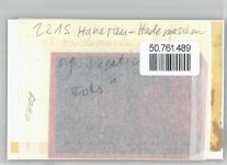 25557 W2215 Hanerau-Hademarschen FOTO KEINE AK Foto mit Negativ