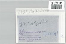26345 W2935 Bockhorn , Jadebusen FOTO KEINE AK Negativ