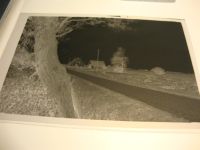 26409 W2944 Neufunnixsiel , Ostfriesl - Negativ