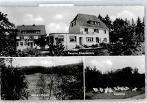 23714 W2423 Malente-Gremsmühlen - Pension Diekseeblick, Dieksee