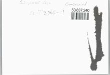 87544 W8976 Gunzesried - Fliegeraufnahme , Foto