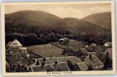 No. 46178 , Bad Harzburg , Crodotal Stengel + Co