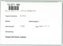 25863 W2251 Langeneß FOTO KEINE AK