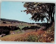 6850 Dornbirn - Bödele Nr. 441