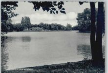 50354 W5030 Efferen - Weiher