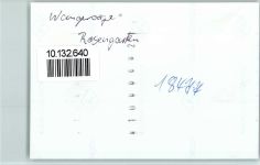 26486 W2946 Wangerooge , Nordseebad FOTO KEINE AK Rosengarten