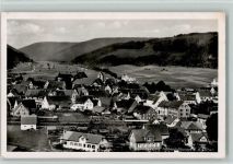 78194 W7717 Immendingen - Gesamtansicht