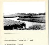 25938 W2270 Witsum FOTO KEINE AK Godel Foto montiert auf Karton