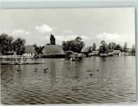 18292 O2602 Krakow a See - Rückseite mit Abschürfungen bzw Kleberesten