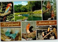 48629 W4439 Metelen - Rückseite mit Abschürfungen bzw Kleberesten Vogelpark Flamingods Uhu Tukan