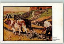Landwirtschaft Ochsen Pflug sign. Georgi Tiergespann 1918 Künstlerkarte