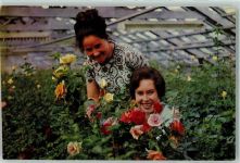 Irkutsk FOTO KEINE AK In der Orangerie