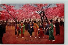 Geisha