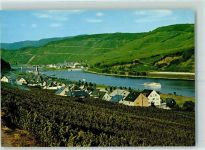 56858 W5581 St. Aldegund - Mosel Fahrgastschiff Weinreben