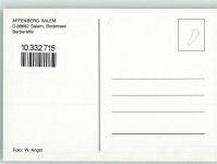 88682 W7777 Salem , Baden - Affenberg Berberaffe