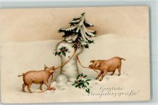 Schwein Neujahr Verlag August Rökl 916 AK Schneemann