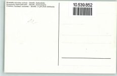 Kroatien - sign Borelli - Dalmatinerin - sehr gute Erhaltung Trachten ehem. Jugoslawien Künstlerkarte